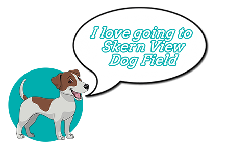 Skern View Dog Walking Field near Bideford in North Devon